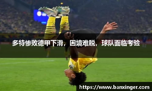 易游