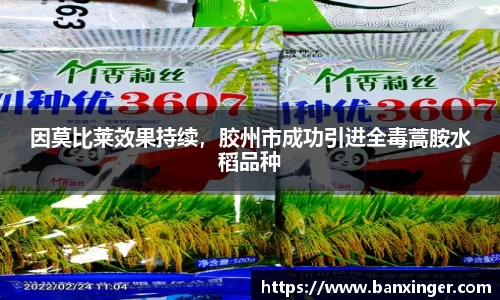 因莫比莱效果持续，胶州市成功引进全毒蒿胺水稻品种