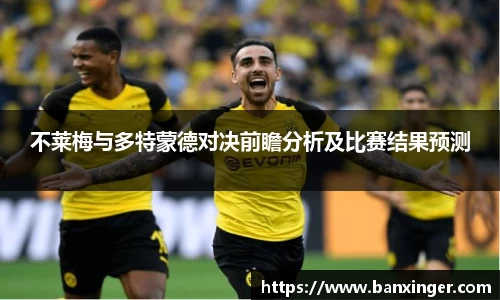 不莱梅与多特蒙德对决前瞻分析及比赛结果预测