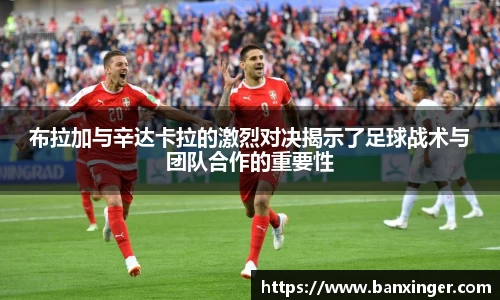 易游体育app